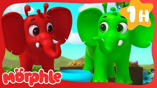 Green Paint 🎨 | MORPHLE 🔴 | Old MacDonald's Farm | Animal Cartoons for Kids by Old MacDonald's Farm - Moonbug Kids 79,976 views 7 days ago 56 minutes