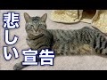 悲しい宣告を受けました・・・