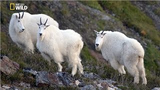 National Geographic - Arlberg Mountain - New Documentary HD 2018
