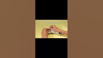 Cute playful cat playing with Cat Toys Flopping Fish with SilverVine and Catnip 🐈 video