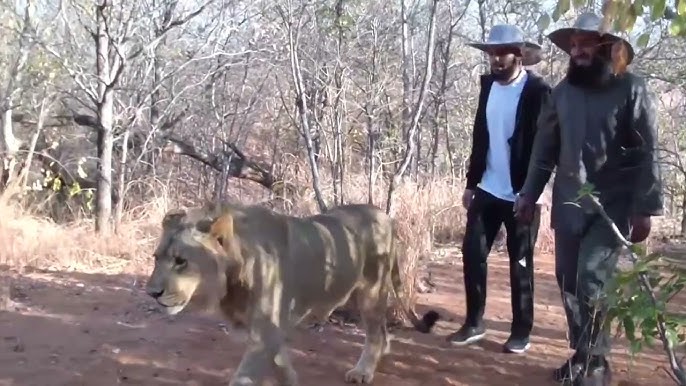 Onlayn jinsiy aloqa: yoshlar tahqirlanmoqda