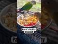 Conures healthy breakfast | Pineapple conure and green cheek conure breakfast