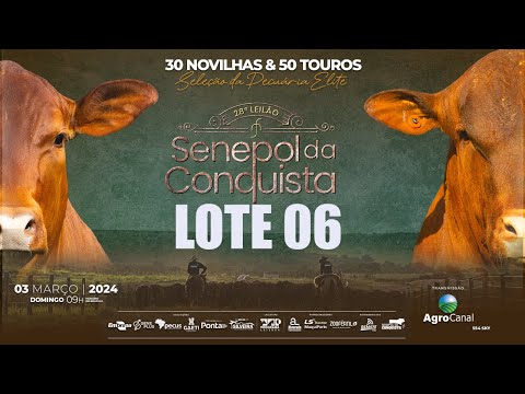 LOTE 06 CONQ 2577