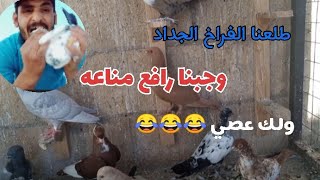 واخيرآ طلعنا الفراخ الجداد صبح وجبنا رافع مناعه