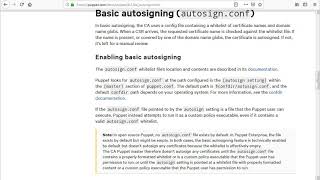 2.5 Environment Setup, Puppet Agent Auto Signing Requests