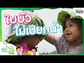 ใบบัวไม่เปียกน้ำ | บ้านนักวิทยาศาสตร์น้อย