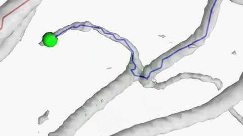 Interactive Skeletonization of Intensity Volumes