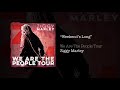 Weekends Long – Ziggy Marley live | We Are The People Tour, 2017