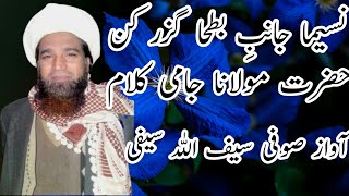 Naseema Janib E Batha Guzar Kun Sufi Saifullah Saifi Naat Waqia Abdul Rehman Jami
