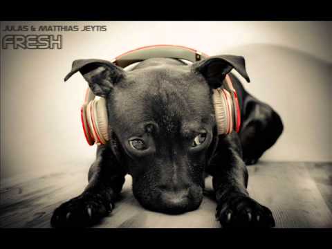 Julas & Matthias Jeytis - Fresh (Original Mix)