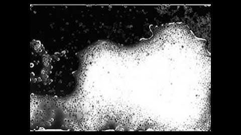 Darkroom Experimentation