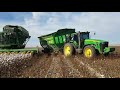 Cotton Harvest 2017