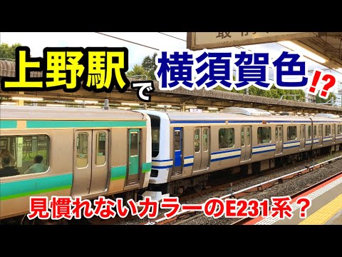"横須賀色"のE231系を見た！