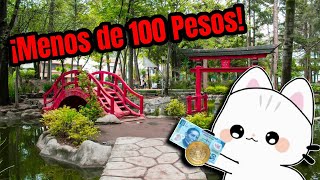 Cheap things to do in Mexico City? Activities for under 100 pesos