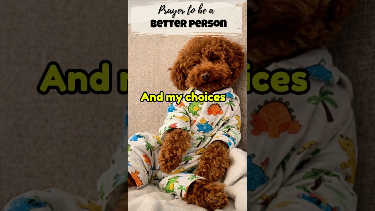 Prayer to Be a Better Person, a prayer for growth | Cute Puppy