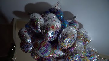 How Many Balloons Will It Take To Make My Dog Fly   2