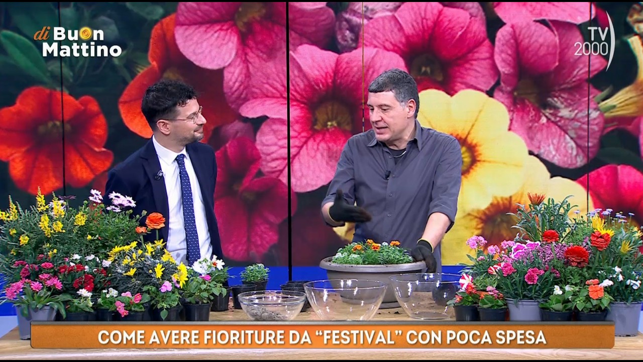 Di Buon Mattino (TV2000) - La fioritura generosa: piante perenni e stagionali per balconi e giardini