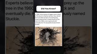 😱
