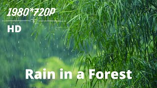 HD Halal Muslim Relaxation, crystal Clear Rain Sound, 01 hour long meditation screenshot 3