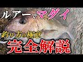 【完全攻略】こうやれば岸からルアーでマダイは釣れる！ショアレッド狙いに必須の基本・釣り方【堤防・サーフ・磯】