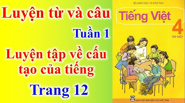 Tiếng Việt Lớp 4 Tuần 1 Luyện từ và câu – Luyện từ về cấu tạo của tiếng