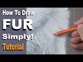 Draw/paint White Fur ~ using orange and blue, red and yellow. Simply mix as you go. Pastel Tutorial.