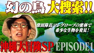 【ヤンバルクイナ大捜索16時間ロケ完全版①】柴田隊長！沖縄大冒険SPその①