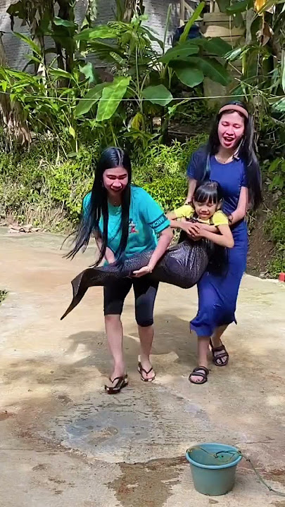 menyelamatkan putri duyung di darat 🧜‍♀️