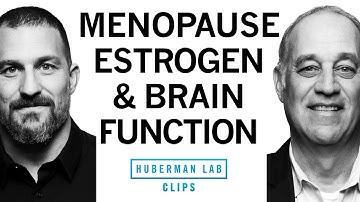 How Menopause & Estrogen Impact Brain Function  | Dr. Mark D