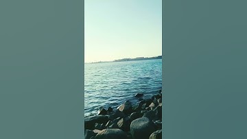وَقَالَ الشَّيْطَانُ لَمَّا قُضِيَ الْأَمْرُ } القارئ طارق محمد