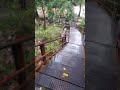 20160924 110613