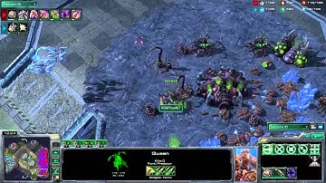 bvd.Shase vs RGNPhoeNix - Game 5 - 3rd/4th Place Match - PolarfluKe: July Zerg