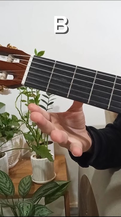 Guitar lessons for beginners(B chord)🎸🎶 #guitar #guitarlessons - YouTube