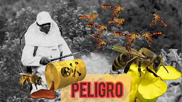¿Cuáles son los peores enemigos de las abejas?