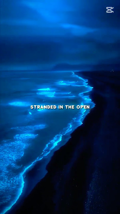 warriyo - mortals ( Lyrics)|Relaxing| aesthetic #warriyo#mortals#trending #lyrics #song