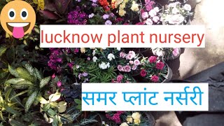 Lucknow plant nursery visit आइये लखनऊ चारबाग के पीछे की नर्सरी घूमते हैं 🍀