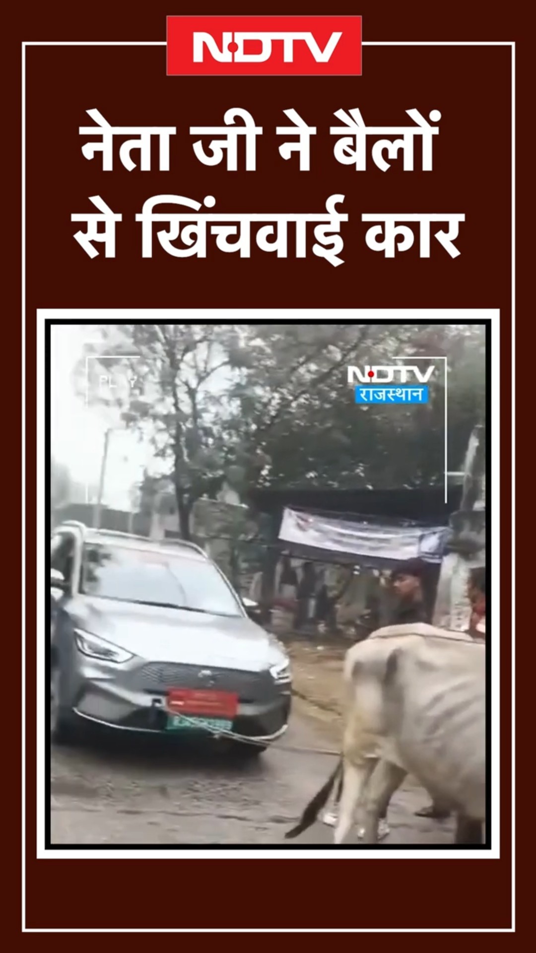 Rajasthan: Didwana में नेता की Electric Car रास्ते में हुई खराब, फिर बैलों से खिचवाई | Viral Video