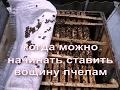 когда можно подставлять вощину на отстройку, без вреда для пчел