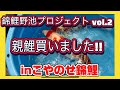 【錦鯉野池プロジェクトvol.2】こやのせ錦鯉さんで親鯉を買いました