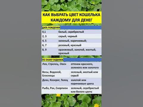 Как выбрать цвет кошелька для привлечения денег каждому по дате ...