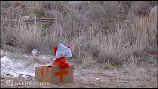 Elmo's death actual footage