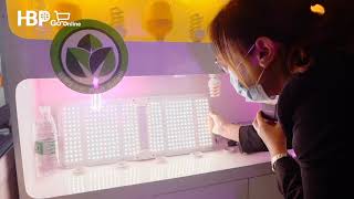 Guzhen Lighting Fair Mosquito Repellent Lights Guarantee Your Sleep Quality