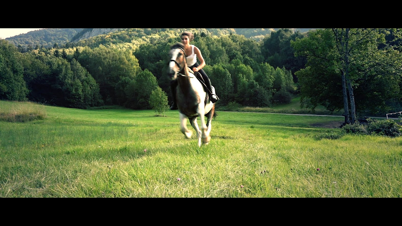 Amazing Galloping Horses