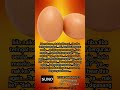 TELUR DAH ADA