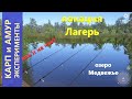 Русская рыбалка 4 - озеро Медвежье - Карп и амур: как ловить?