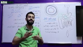 فيزيولوجيا الجهاز الهضمي GI Physiology - 1