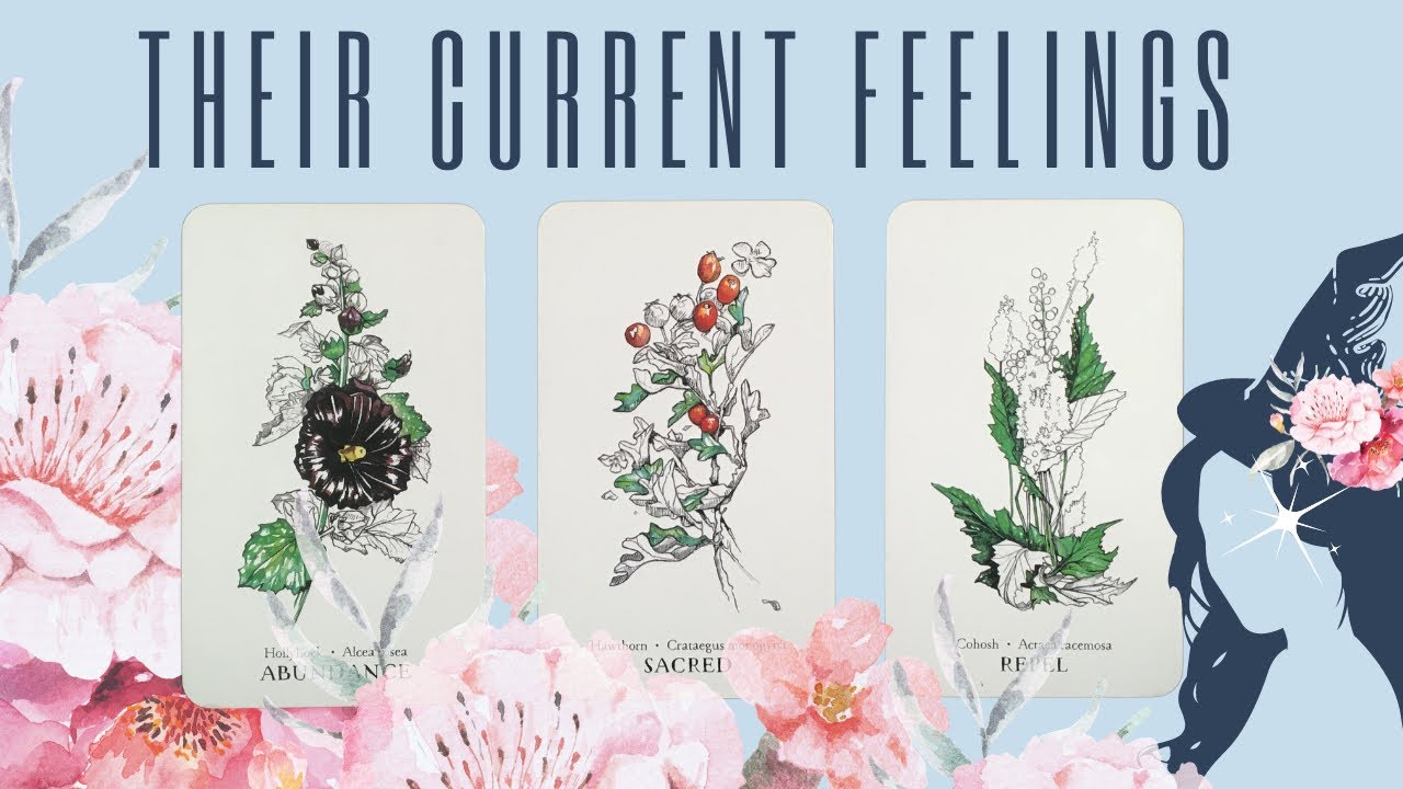 PICK A CARD: THEIR CURRENT FEELINGS FOR YOU 💕