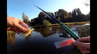 Plastic worm VS real Earthworm fishing | Aliexpress worms Fishing Challenge screenshot 5
