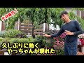 ■すみません…ご無沙汰しております！