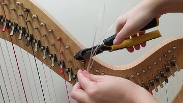 How To Change A Harp String